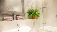 Rośliny doniczkowe, które mogą pomóc w walce z wysoką wilgotnością w mieszkaniu