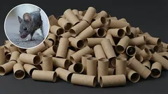 Jak pozbyć się myszy w domu za pomocą uchwytu na szczotkę toaletową: skuteczna pułapka własnej roboty